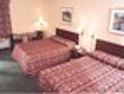 دیز این تورنتو ایست لیک ویو