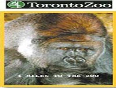 دیز این تورنتو ایست لیک ویو