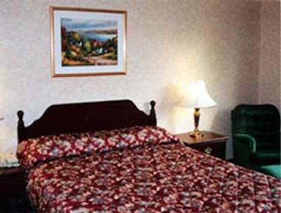 دیز این تورنتو ایست لیک ویو