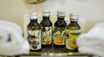 الگانس ایست هتل