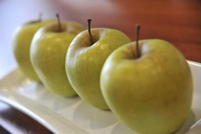 تولیپ این آمستردام ریورساید