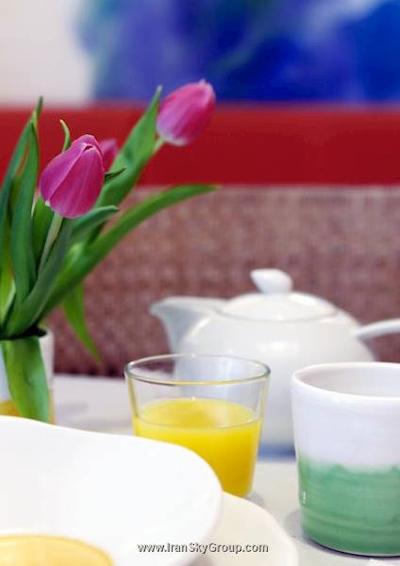 کریتیف الفانت