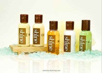 شرایتون مونیخ آرابلاپارک هتل