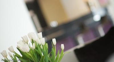 داموس هتل برلین کودام