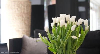 داموس هتل برلین کودام