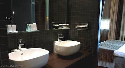 داچ دیزاین هتل آرتمیس