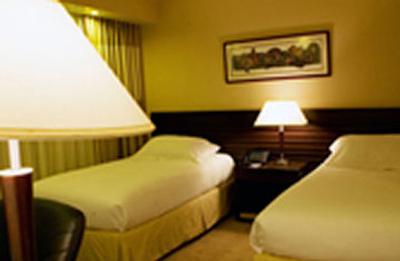 یوروبیلدینگ هتل اند سوئیتس کاراکاس