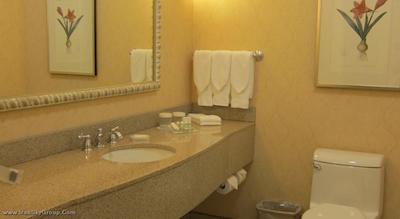 هیلتون گاردن این اوتاوا‌ ایرپورت