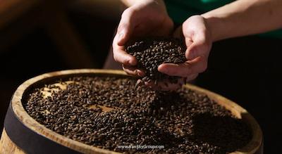 کورت یارد بای ماریوت سنت پیترزبورگ پوشکین