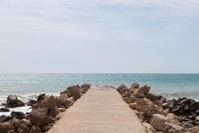 بست وسترن آلباهیا