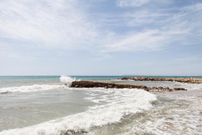 بست وسترن آلباهیا