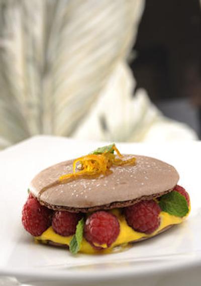 هلوتیا اند بریستول