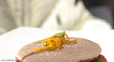 هلوتیا اند بریستول