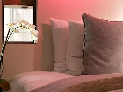 سوفیتل هامبورگ آلتر وال