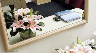 مرکور ملبورن آلبرت پارک