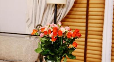 باکارا آرت هتل