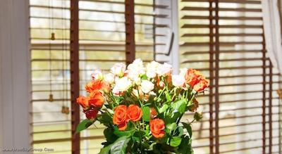 باکارا آرت هتل