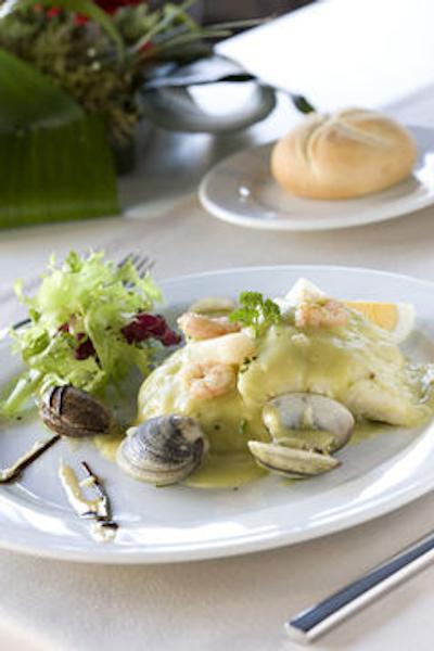 بارسلو کستلانا نورت