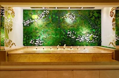 هتل میرازگو