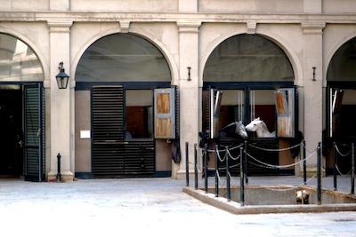 استیگنبرگر هتل هرنهف