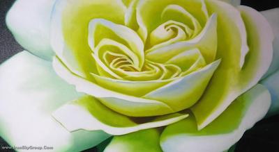 دیوا هتل-دلچه‌ ویتا آپارتمان