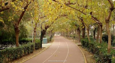 رامادا پلازا ازمیر