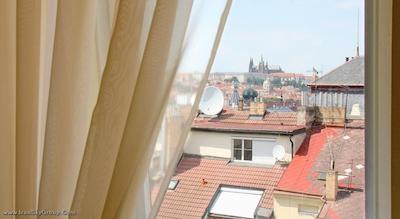 بست وسترن سیتی موران