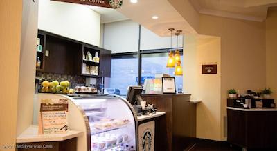 هیلتون گاردن این ساسکاتون داون تاون