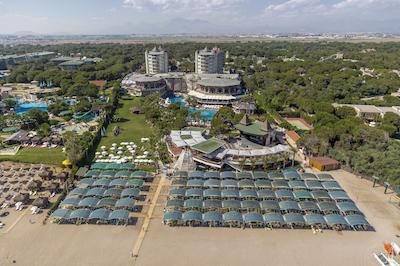 پاپیلون زوگما