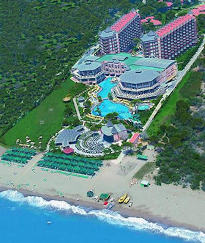 پاپیلون زوگما