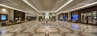 پاپیلون زوگما