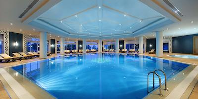 پاپیلون زوگما