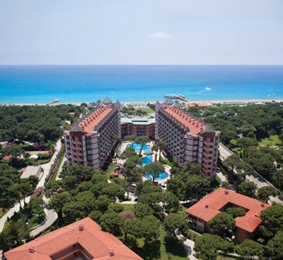 پاپیلون زوگما