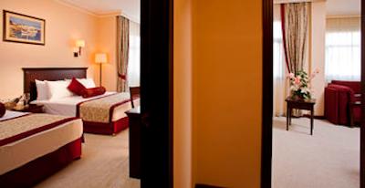 پاپیلون زوگما