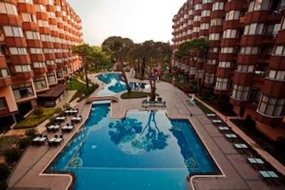 پاپیلون زوگما