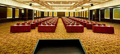 پاپیلون زوگما