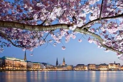 فورست بیسمارک