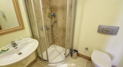 آی سی هتل گرین پالاس