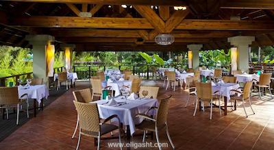 آی سی هتل گرین پالاس