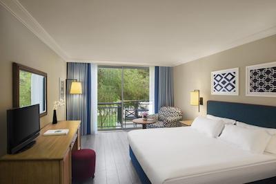 آی سی هتل گرین پالاس