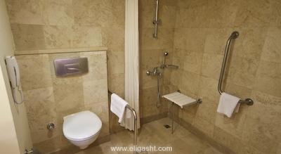 آی سی هتل گرین پالاس