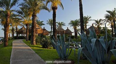 آی سی هتل گرین پالاس