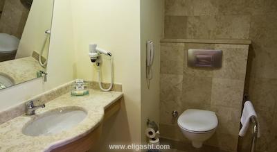 آی سی هتل گرین پالاس