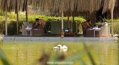 آی سی هتل گرین پالاس