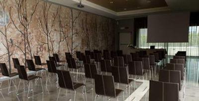 کلیما هتل میلانو فیر