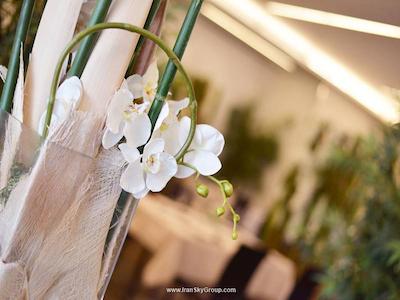 از لیمبییت فیرا