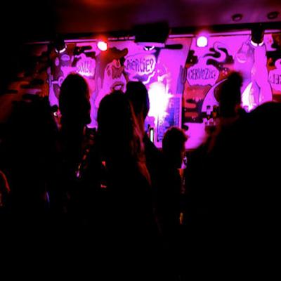 هانس برینکر