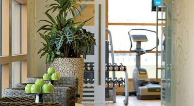 دیوانی کاراول