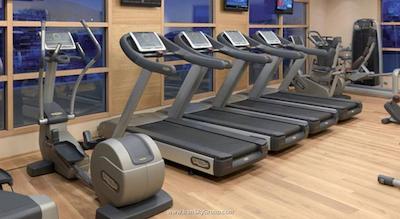 دیوانی کاراول