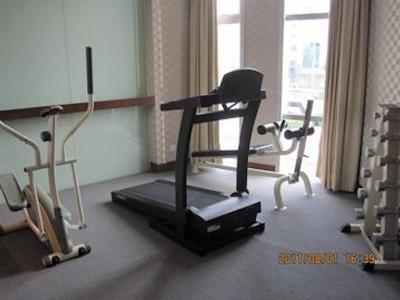 هالیدی این اکسپرس شانگهای جینکیائو سنترال گلدن بریج